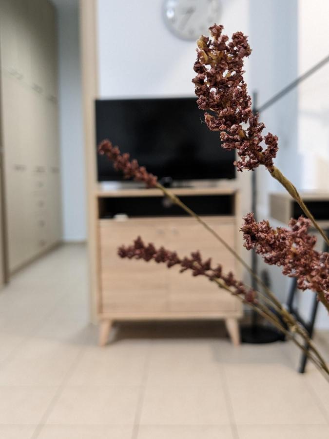 Cozy Apartment Near The City Centre 이라클리온 외부 사진